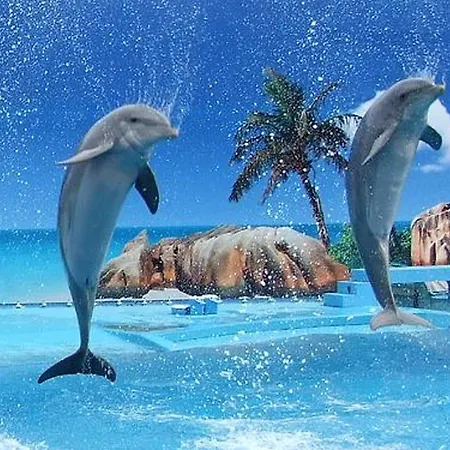 Charming In Albufeira, 60 M², Mountain View * Албуфейра